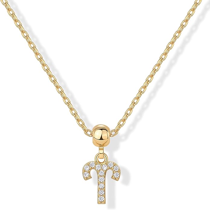 14K Gold Plated Dainty Zodiac Necklace with Charms - Adjustable Chain Gold Charm Zodiac Necklaces for Women - Small Astrology Removable Pendants - Cute Jewelry Gifts