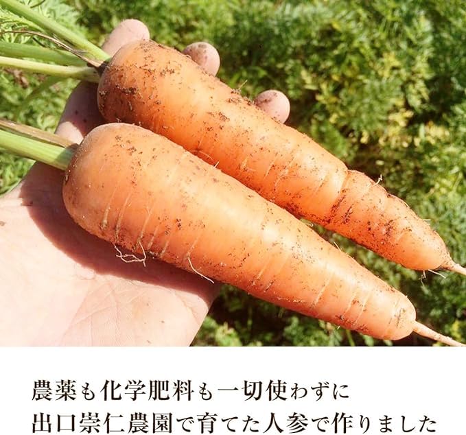 Amazon.co.jp: 奇跡の人参ジュース 出口崇仁農園 にんじんジュース