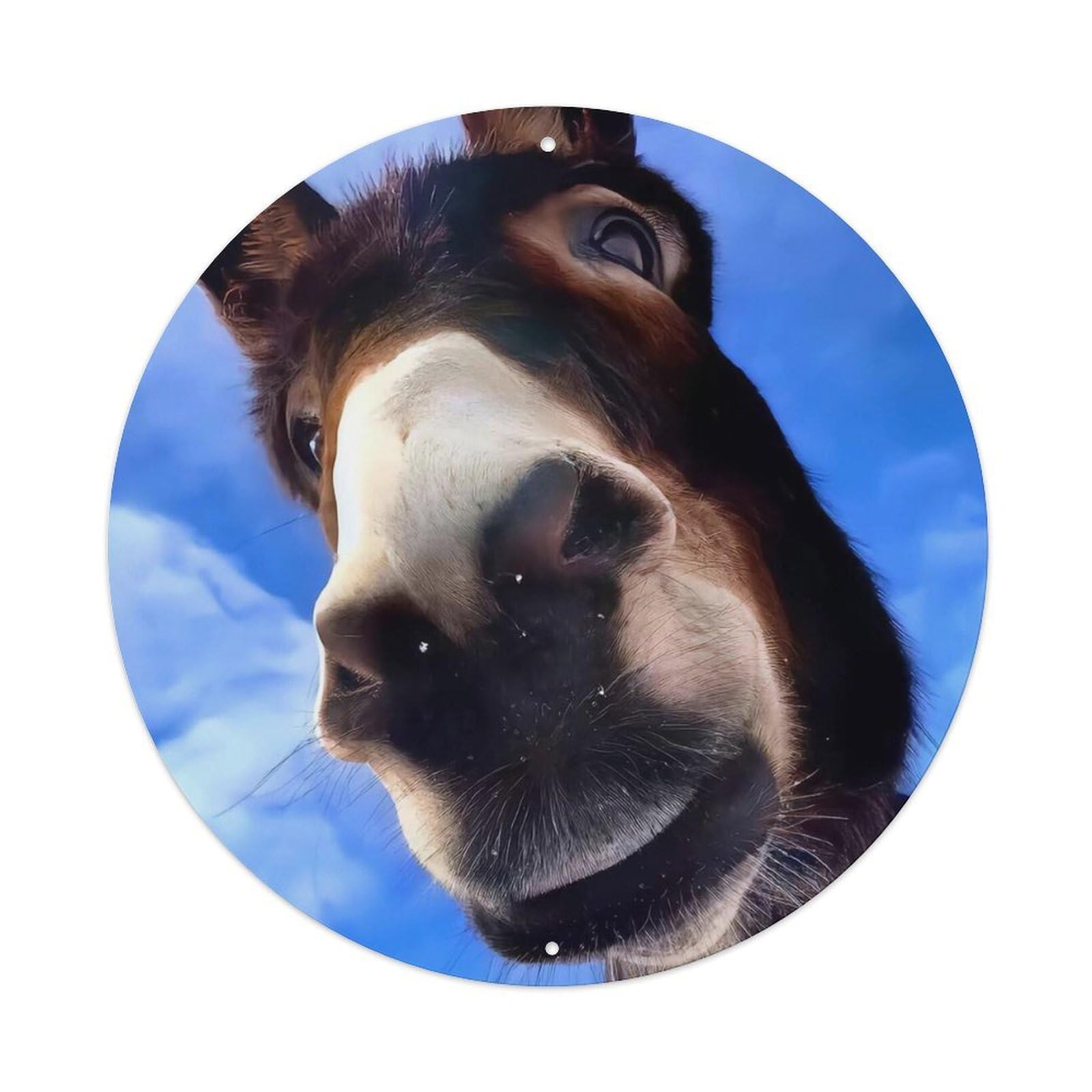 Funny Donkey Poster Countryside Landscape Metal Tin Sign