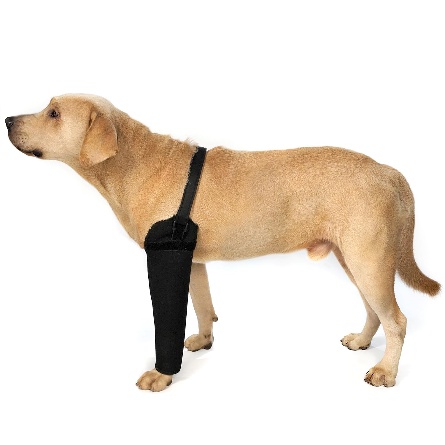 Manicotto per il recupero del cane, alternativa al collare a cono, spessore 2,5 mm, impermeabile, resistente all'abrasione, lavabile, previene leccare/mordere e mantiene le ferite asciutte