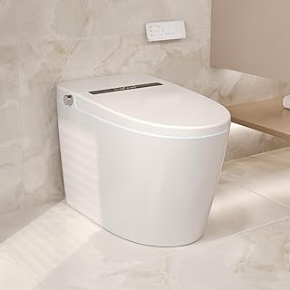 Deer Valley Smart Toilet with Bidet Built in, Tankless Toilet for bathrooms with Auto Flushing