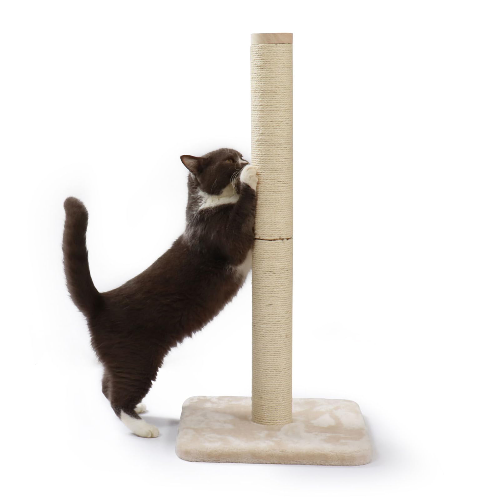 Amazon | 猫壱 バリバリつめとぎポール 麻 爪研ぎ ラージ 猫用 | 猫壱