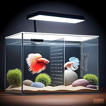 Amazon.com : iPriro 3 Gallon 12.6” L Fish Nano Glass