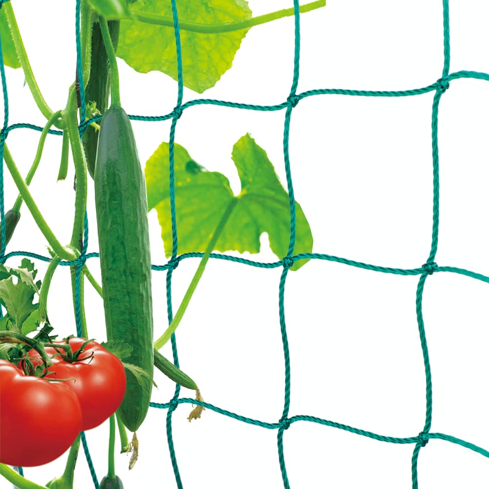 Premium Ranknetz mit großer Maschenweite für den perfekten Wachstum von Tomaten, Gurken und Kletterpflanzen Das Optimale Rankhilfe Netz für Garten und Gewächshaus - Maschnweite (10cm), Größe: 1 x 2m