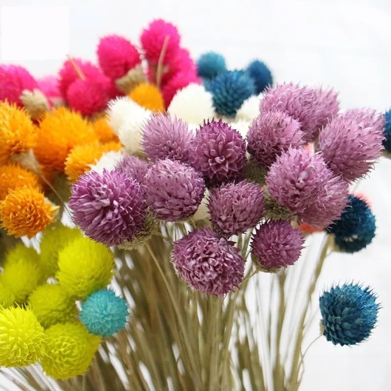 15 Pzs Ramo de Flores Secas Naturales Decoración Navideña miniatura 6