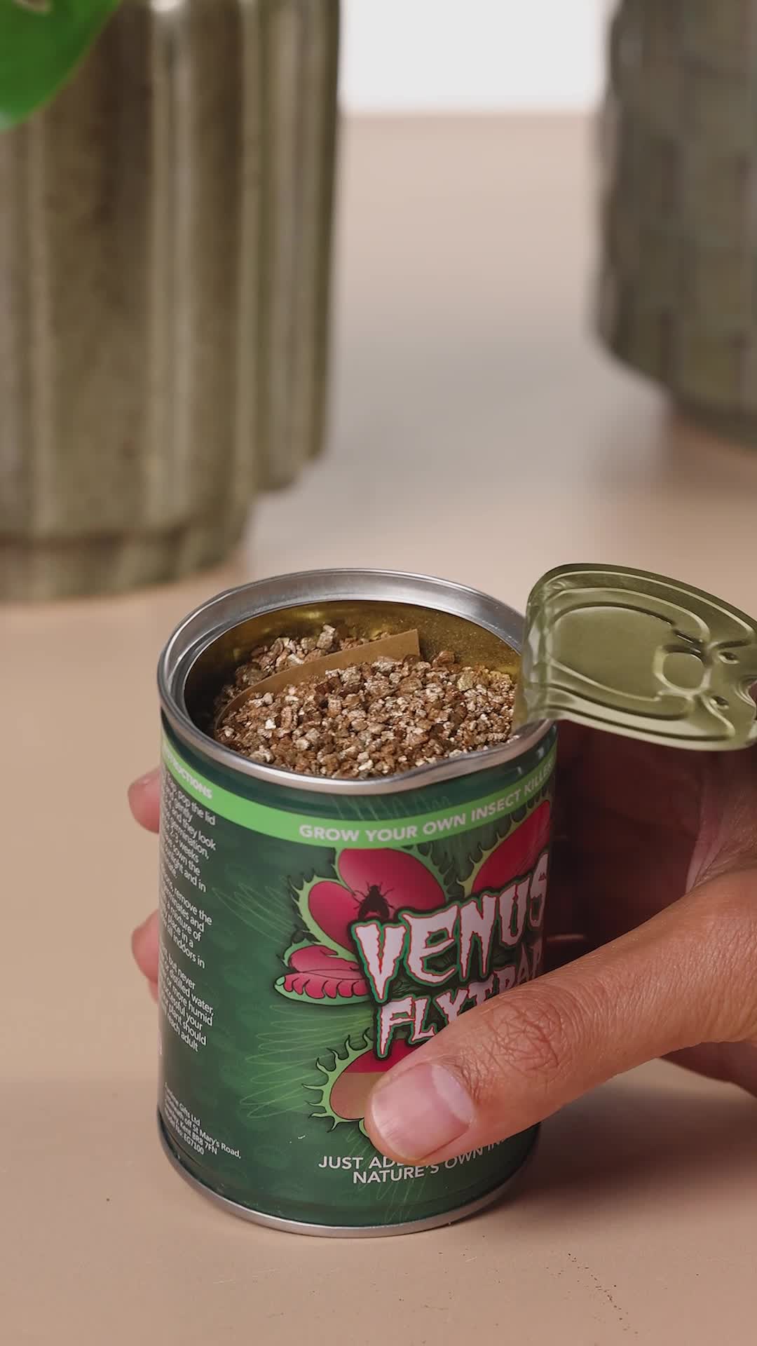 Venus Fly Trap and Sundew Plant in a Tin | Grow Your Own Plant Kit