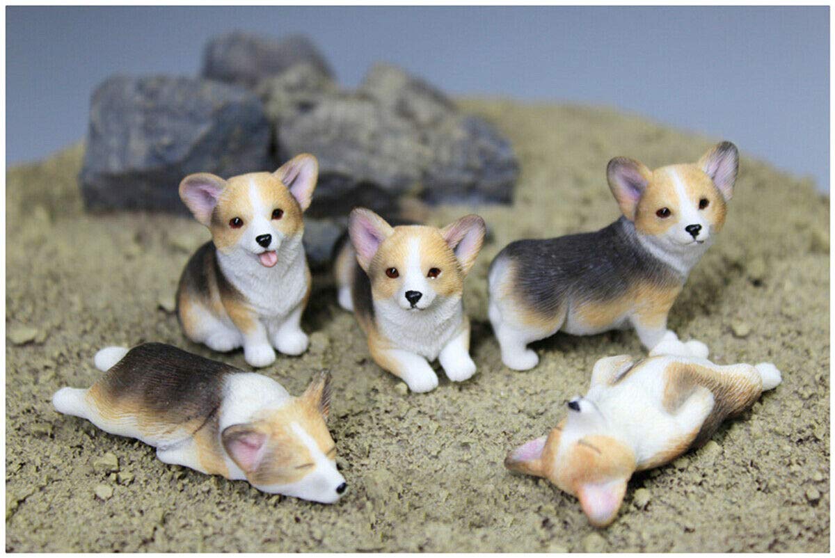 Amazon | Xmmos ウェルシュ・コーギー ミニ 可愛い 犬 動物 リアル