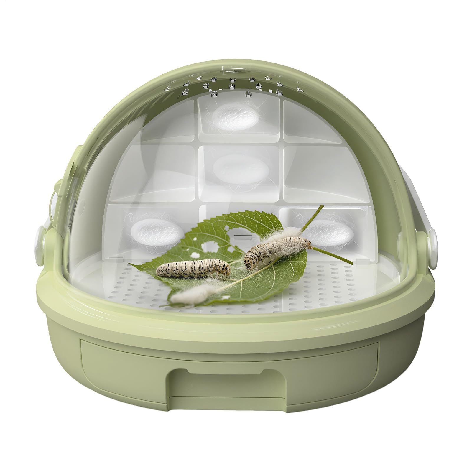 Reptile Terrarium – Breathable Feeding Cage, Silkworm Hatching Box | And Pet Habitat, Ventilated Reptile Tank, Science Project Classroom Accessory Of Pet Spiders Scorpions Amphibians For Kids S