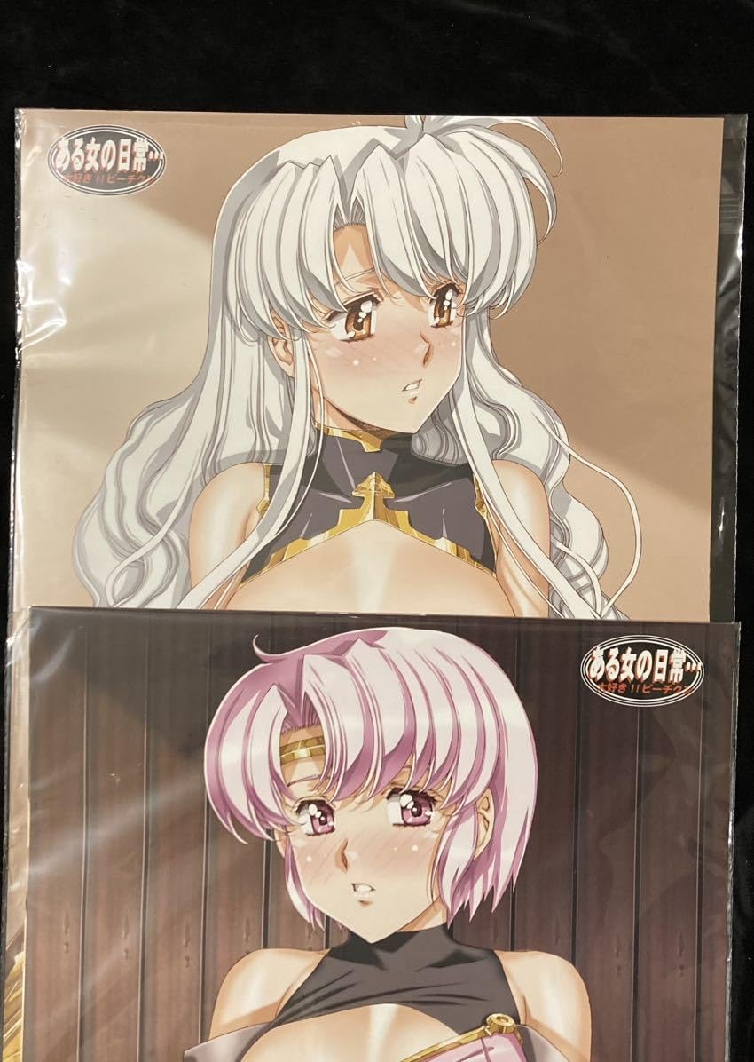 Amazon.co.jp: コミケ103 C103 大好きビーチクン うるし原智志 新刊 ある女の常 A3ポスター5枚セット2024 A B セット  : おもちゃ