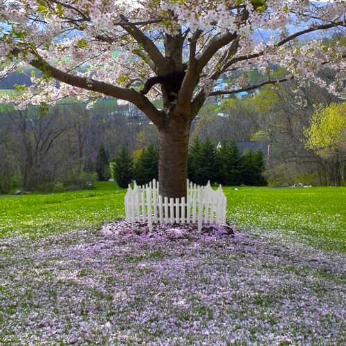 Image of DOITOOL Flexible White Picket Fence Garden Border, 5 Pcs Decorative Landscape Edging Fences, Grass Lawn Flowerbeds Plant Borders, White (Overall Length 120 Inches)