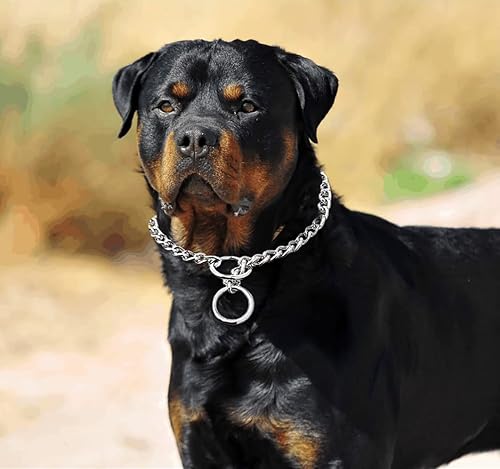 Miniatura 6 de Freezx Collar de estrangulador para perro, cadena pesada de metal para entrenamiento, collar de acero de aleación ajustable a prueba de clima, para