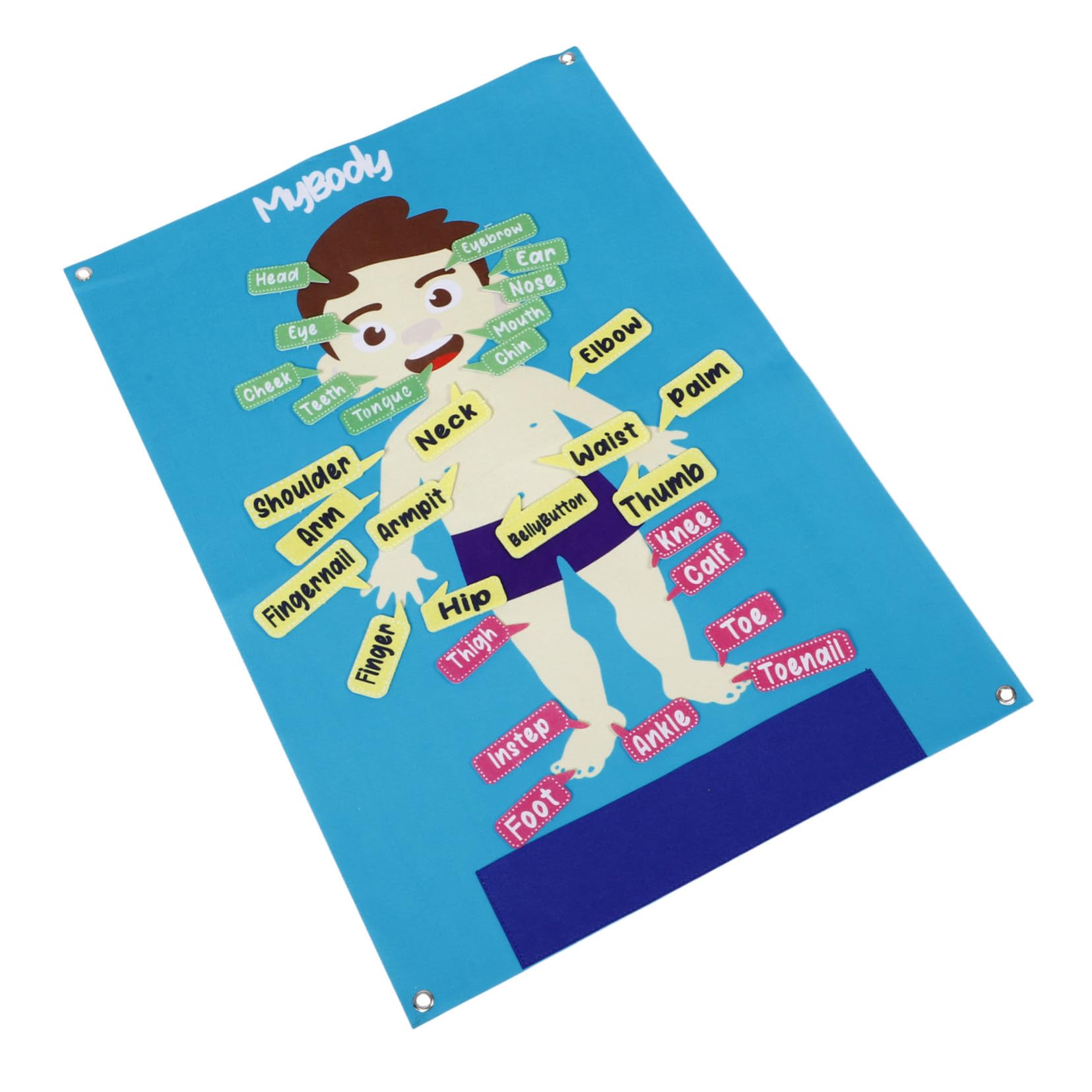 POPETPOP Tablero de Fieltro Grande para Actividades Preescolares Educativo Interactivo con Diseño de Cuerpo Humano Ligero y Portátil para Aprendizaje y Aula