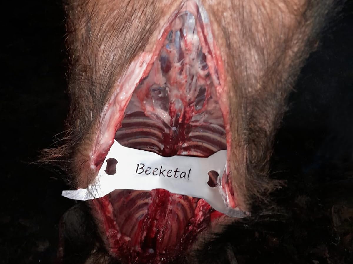 Beeketal Profi Wildspreizer Edelstahl WS-280B | 280 mm Brustraumspreizer für schweres Schwarzwild & Rotwild | Stabiler Jagdspreizer mit Zähnen & Flaschenöffner | Rostfrei & Hygienisch