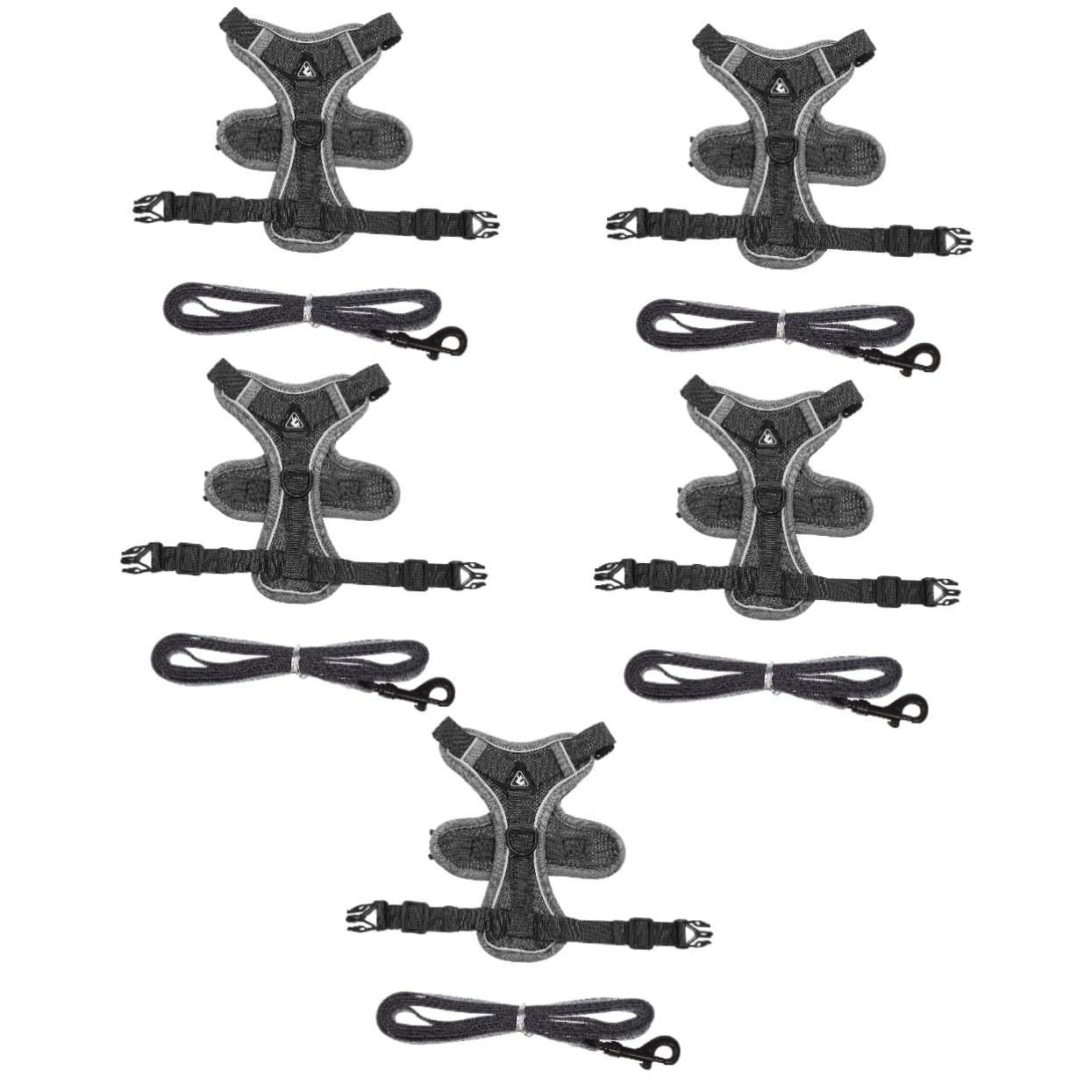 Toddmomy 5pièces pour Petit Chien Et Chat Gilet Réfléchissant Et Respirant Laisse De Sécurité pour Accessoire Pratique pour Animaux
