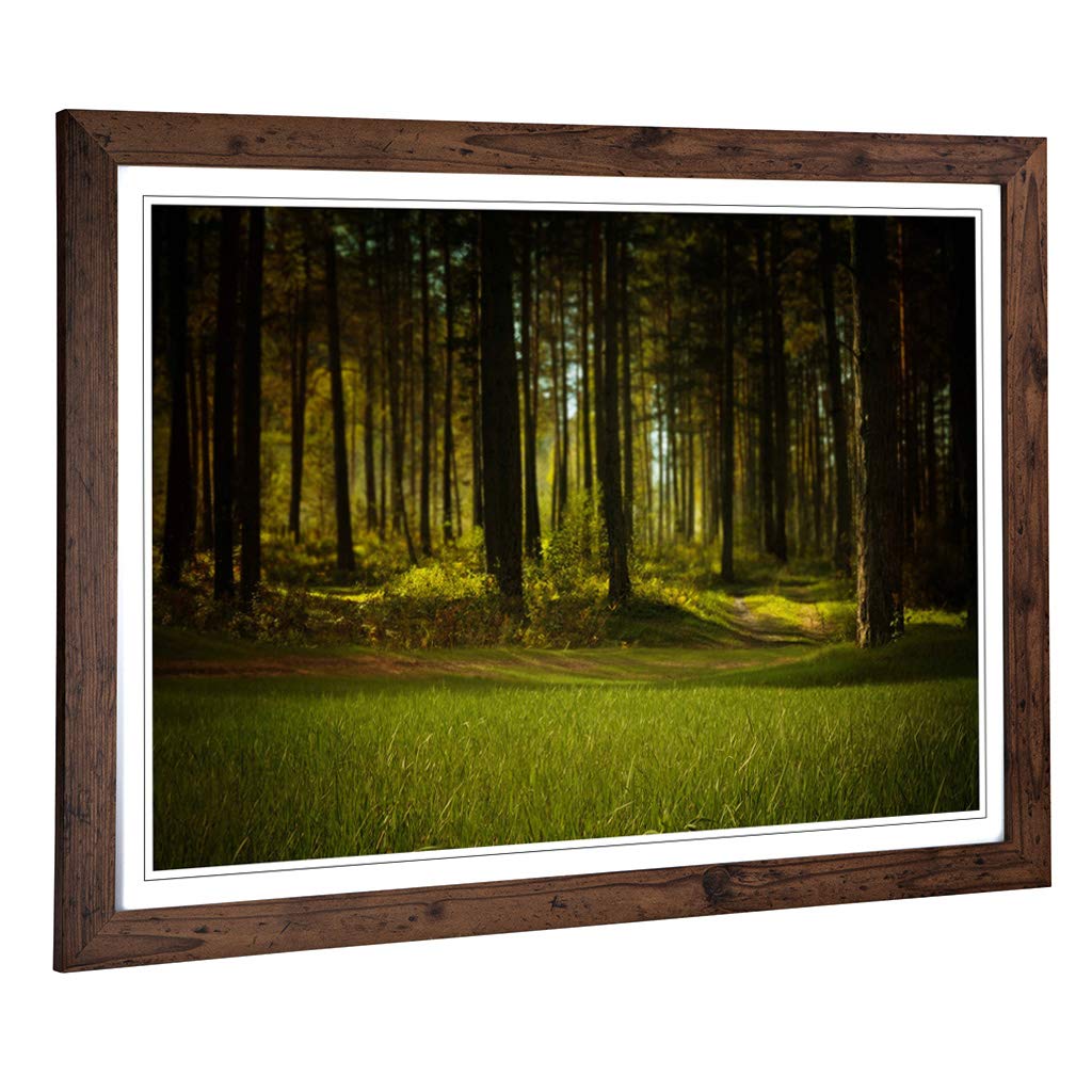 Big Box Art Framed Print of Landscape Forest Woodland Design | Wall Art Picture | Home Decor for Kitchen, Living, Dining Room, Bedroom, Hallway, Office, Walnut, A2 / 24.5x18 Inch / 62x45cm
