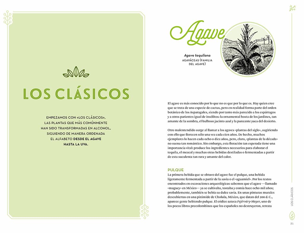 Botánica para cócteles: Las plantas que han dado origen a las mejores bebidas del mundo (Salamandra fun & food)