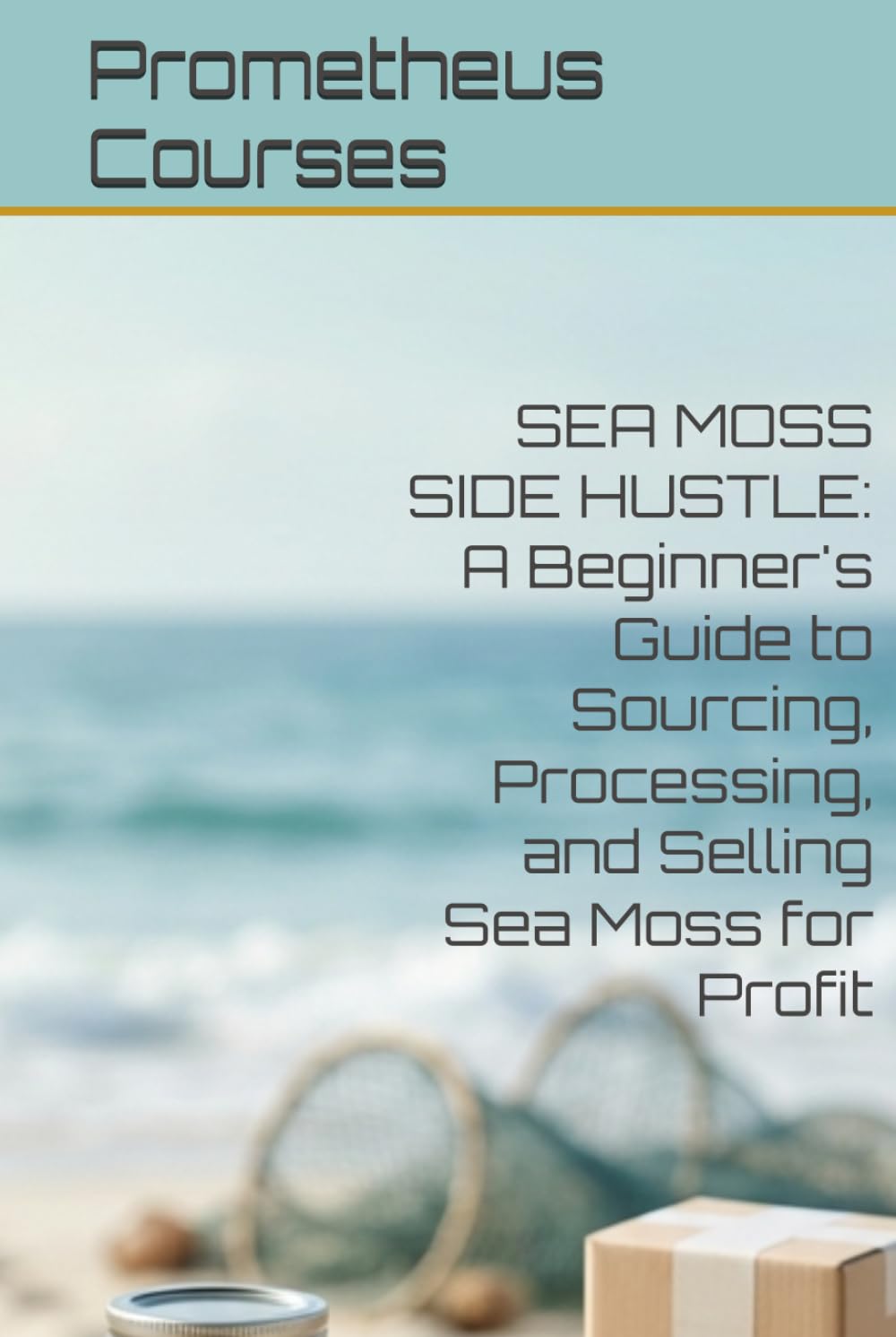 SEA MOSS SIDE HUSTLE: A Beginner's Guide to Sourcing, Processing, and Selling Sea Moss for Profit