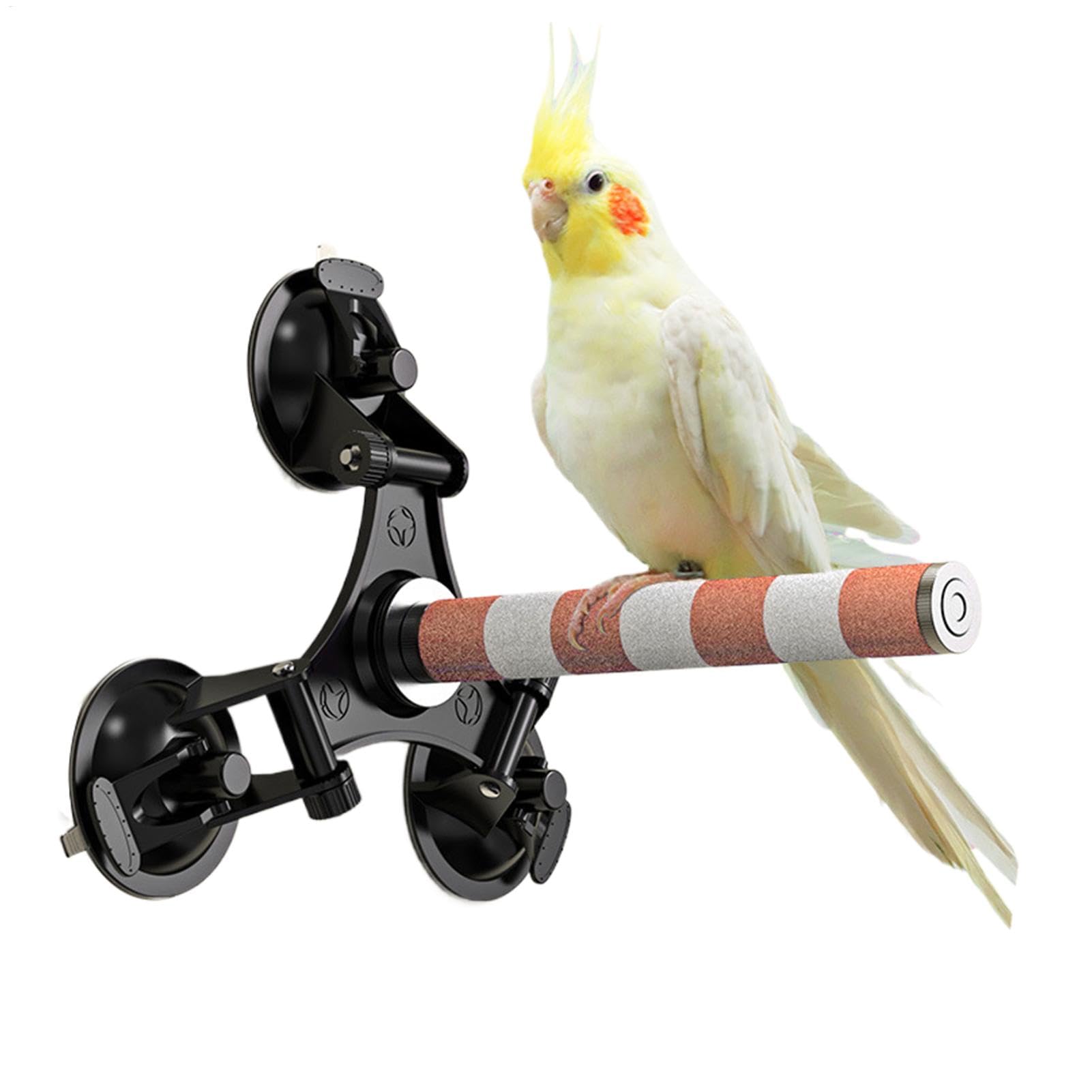 Strong Suction Cup Bird Perch, Window Parrot Stand Stick, Resting Supplies with Three Powerful Suction Cups for Parakeets, Cockatiels, Lovebirds, Budgies, Medium Parrots