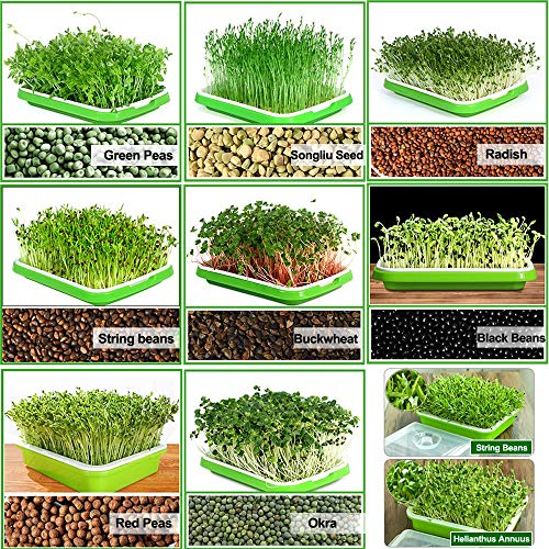 Bean Sprouts Machine, LED Display Time Control, Intelligent Automatic Bean Sprouts Maker, 2 Layers Function Large Capacity Seed Grow Cereal Tool, 110V