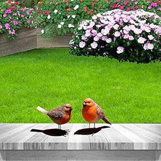Set of 2 Robin Ornaments, Robin Garden Ornament Decor Statue, Vivid Robin Redbreast Gifts for Women Garden Patio Lawn Bird Decorations