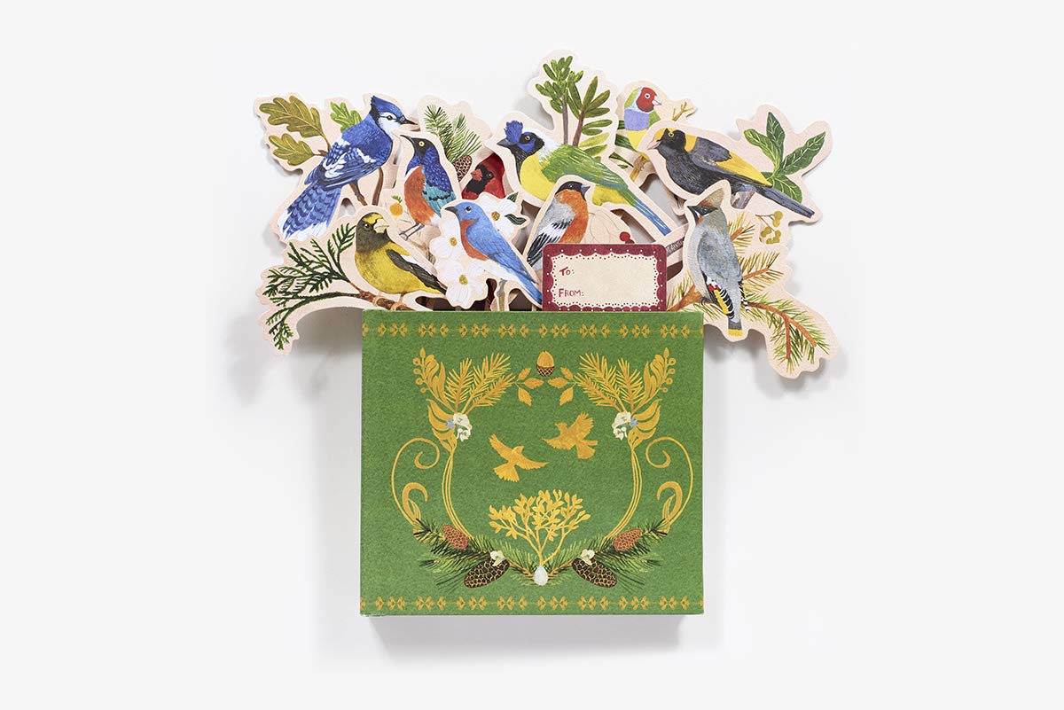 Birds In A Book. A Bouquet In A Book: Jacket Comes Off. Branches Pop Up. Display Like a Bouquet!