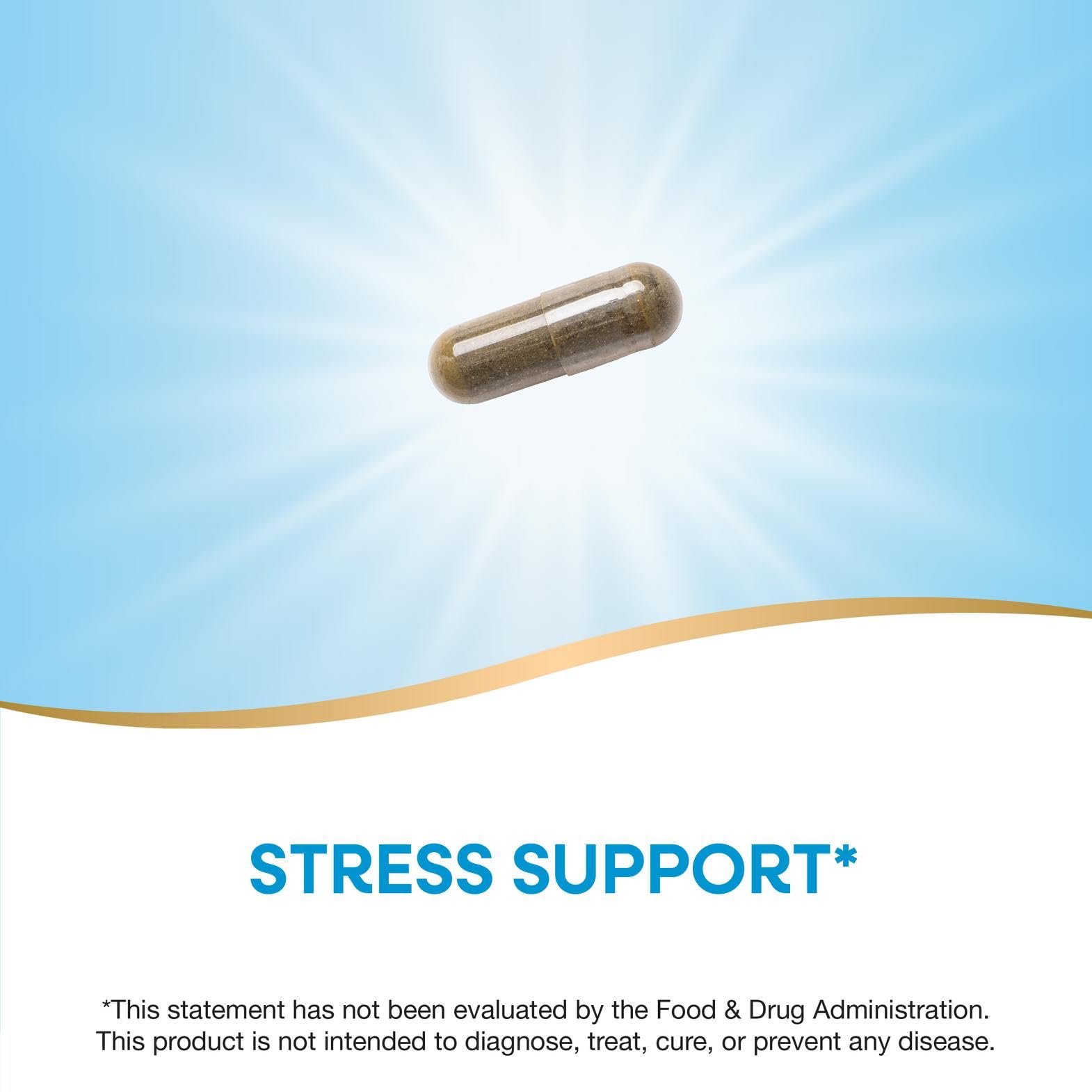 Nature's Way Holy Basil Premium Extract, Stress Support*, Adaptogenic Herb*, 450 mg per Serving, 60 Vegan Capsules (Packaging May Vary)