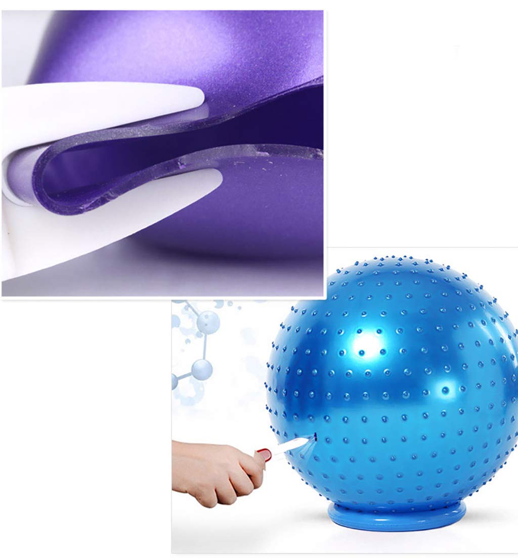Zsh Palla da yoga a prova di esplosione, ecologica, insapore, palla svizzera da ginnastica, viola 65/75/85 cm, 65 cm