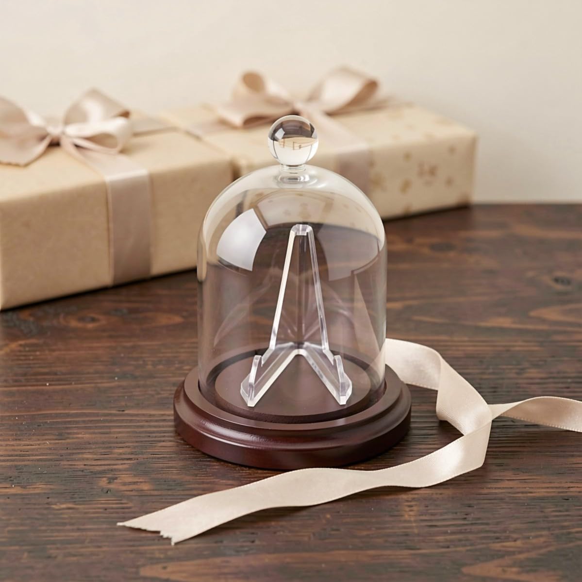 Glass Dome Watch Display Stand Case with Wooden Base