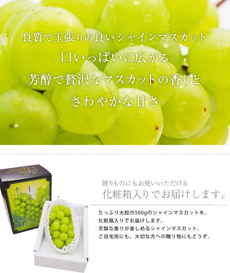 Amazon.co.jp: ぶどう シャインマスカット 約500g 1房 JA Amazon.co.jp: ぶどう シャインマスカット 約500g 1房 JA
