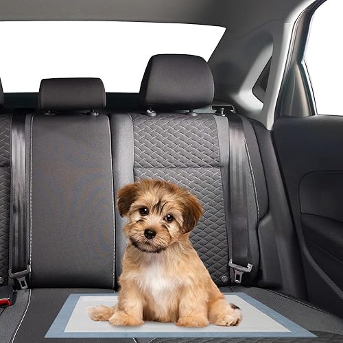 Miniatura 8 de BV Almohadillas de entrenamiento para orina para perros y cachorros, 22 x 22 pulgadas, 50 unidades, 6 paquetes (total 300 unidades)