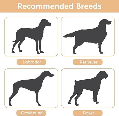 Miniatura 9 de Cama elevada para perros grandes, cama plegable portátil para perros grandes, camas elevadas lavables para mascotas con patas antideslizantes, camas