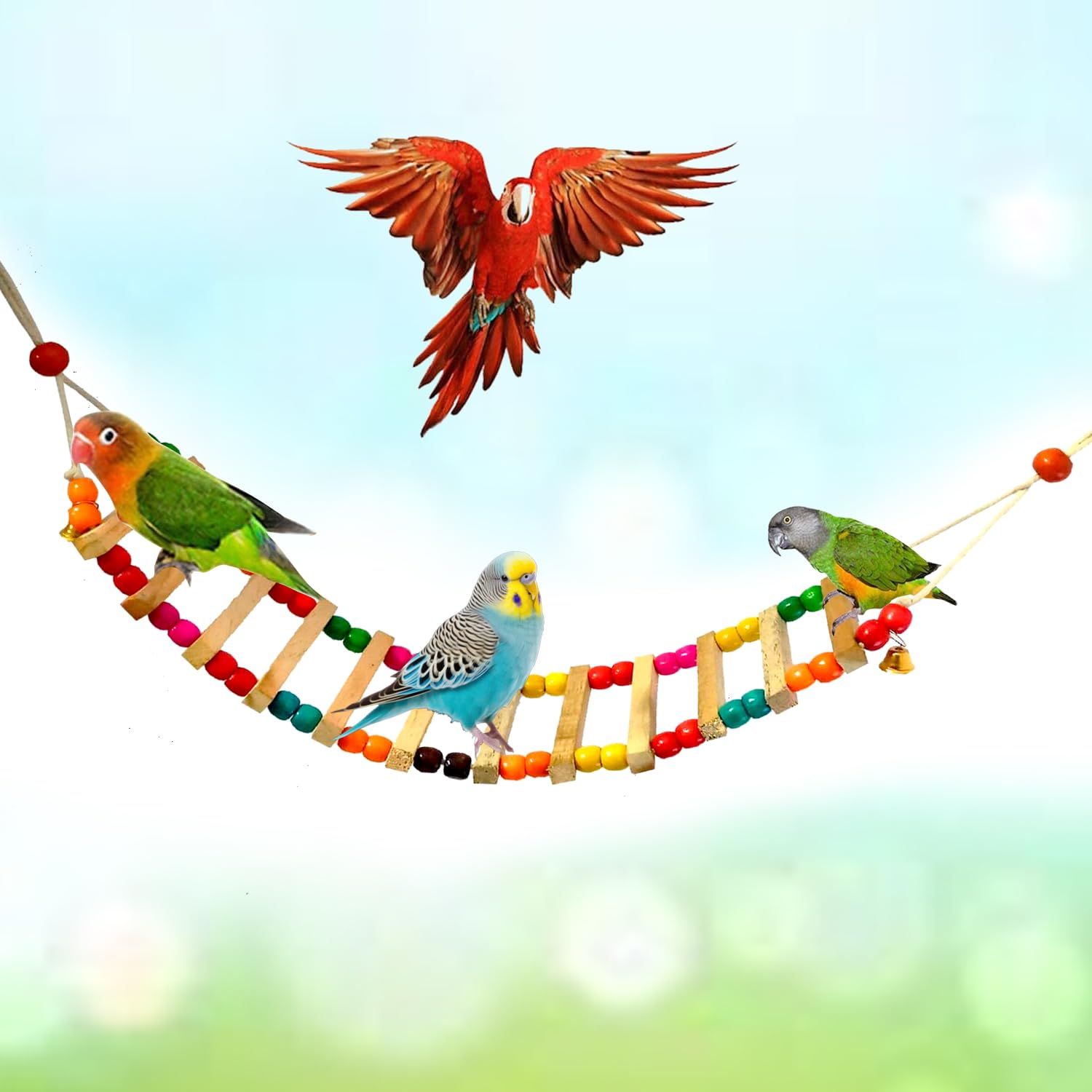 See full amazon price history chart for Jainsons Pet Products Bird Parrot Toys 28" Ladders Swing Chewing Toys Hanging Colourful Bird Toys Cage Accessories Hammock Swing Toy for Small Parakeets Cockatiels, Lovebirds, Lovebirds, Finches Jainsons Pet Products Bird Parrot Toys 28" Ladders Swing Chewing Toys Hanging Colourful Bird Toys Cage Accessories Hammock Swing Toy for Small Parakeets Cockatiels, Lovebirds, Lovebirds, Finches (B0CSFNYVC7) Amazon Price History, Amazon Price Tracker