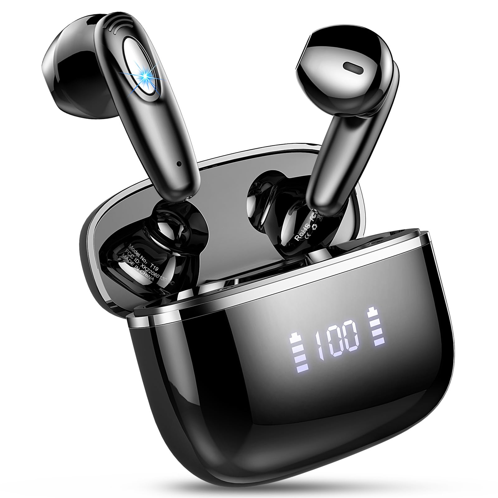 256877_1 256877_1