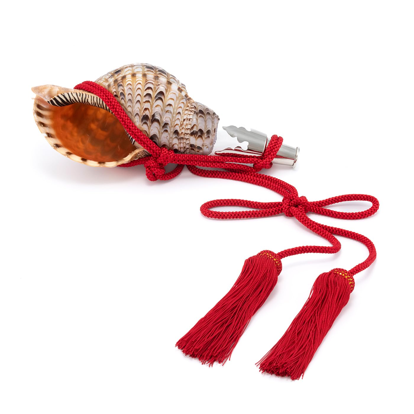 ホラ貝法螺貝和楽器NO―12