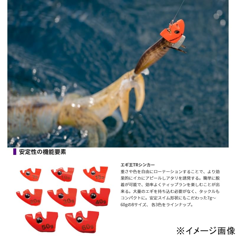 Amazon | ヤマシタ(YAMASHITA) エギ王 TRシンカー 入門セット