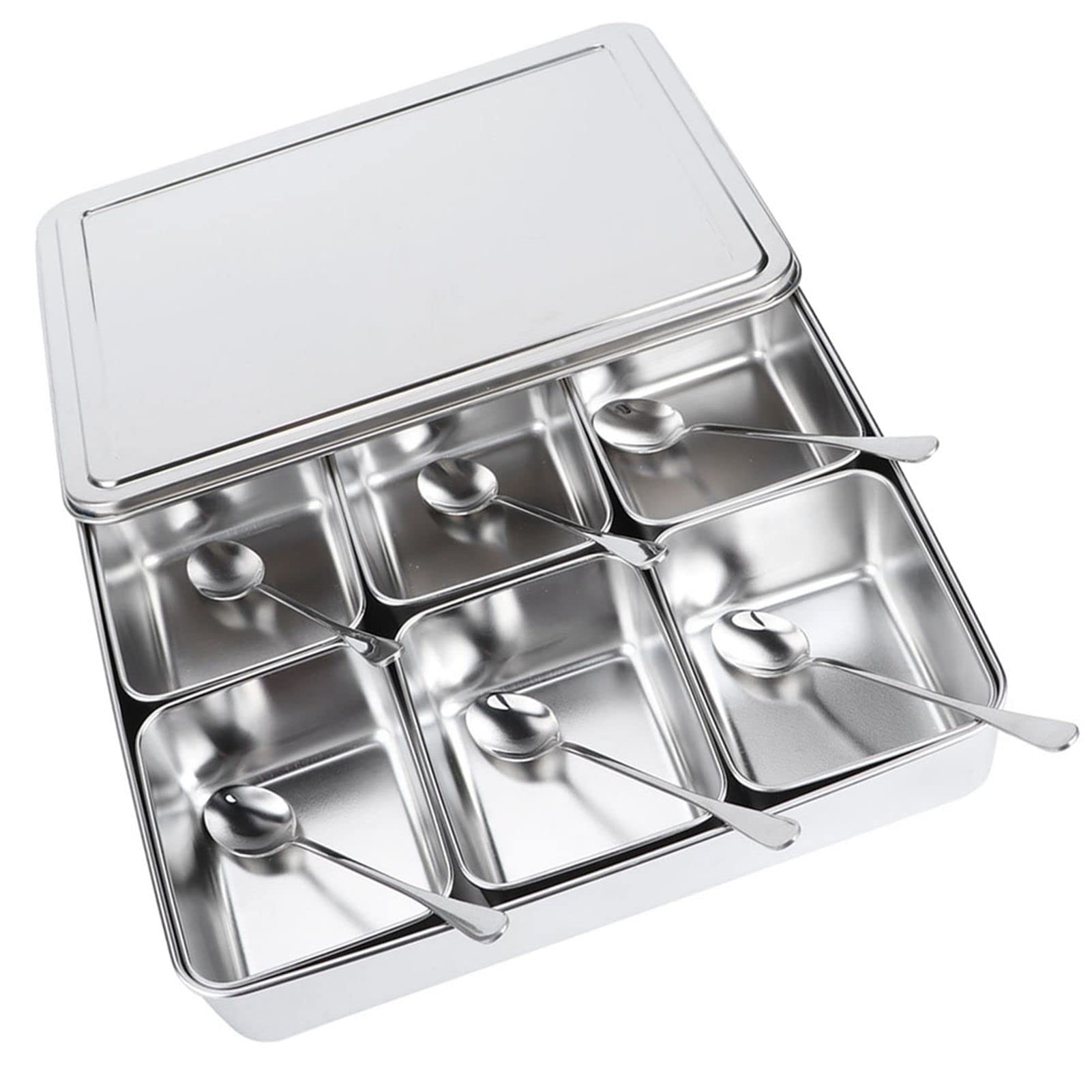 Haofy Scatola per condimenti in acciaio inox, contenitore per condimenti con 6 griglie, set di contenitori per spezie con cucchiai, utensili da