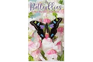 2024 Butterfly Calendar for Perfect Planning and Scheduling