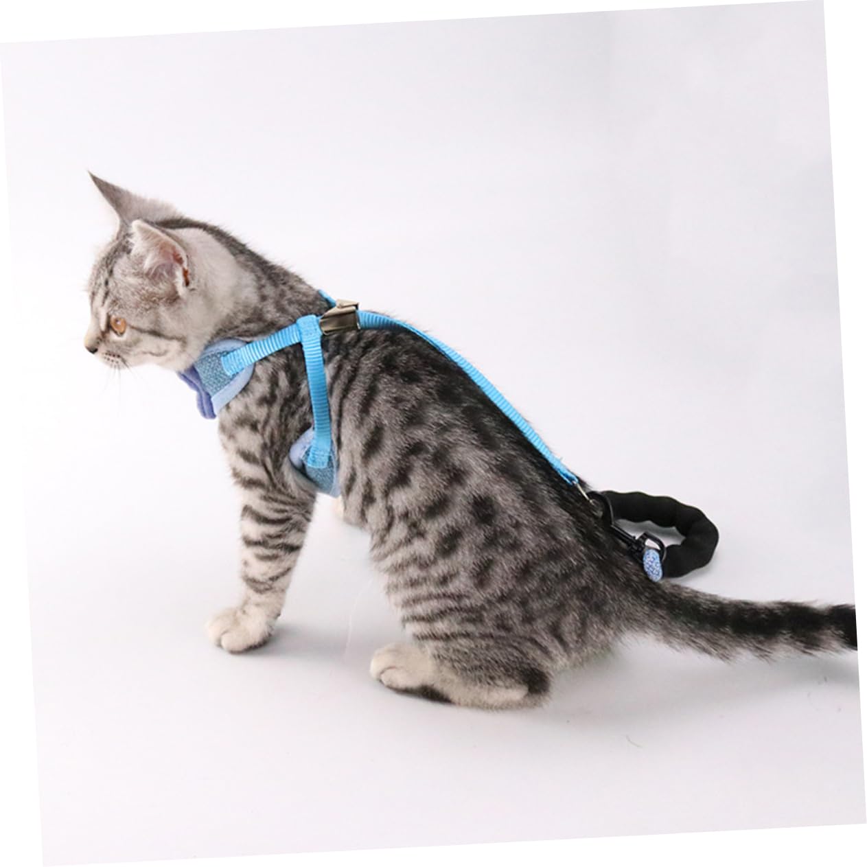 Beavorty 3 Pezzi Regolabile Gatto Bowknot Gilet Petto Cinghia Comoda Per Gatti Da 2 5-10 Kg Facile Da