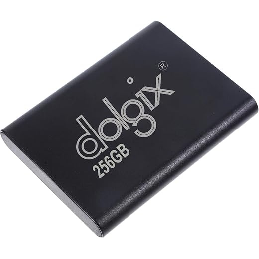 Dolgix Mini Portable SSD 256GB
