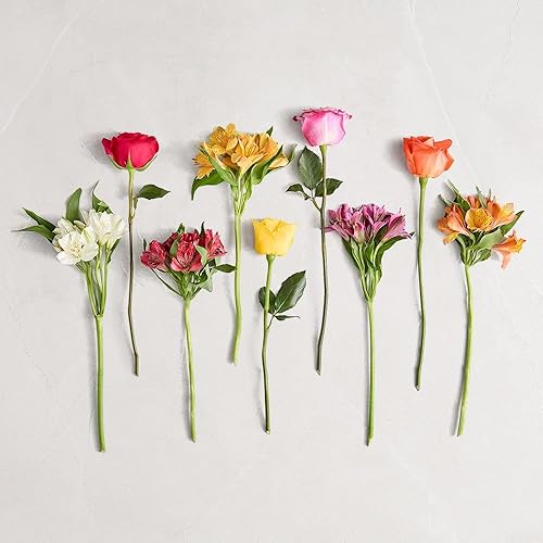 Miniatura 3 de 1800 flores  Ramo doble de rosas brillantes y lirios peruanos surtidos (florero rosa incluido)  Flores frescas para entrega  Regalo para cumpleaños,