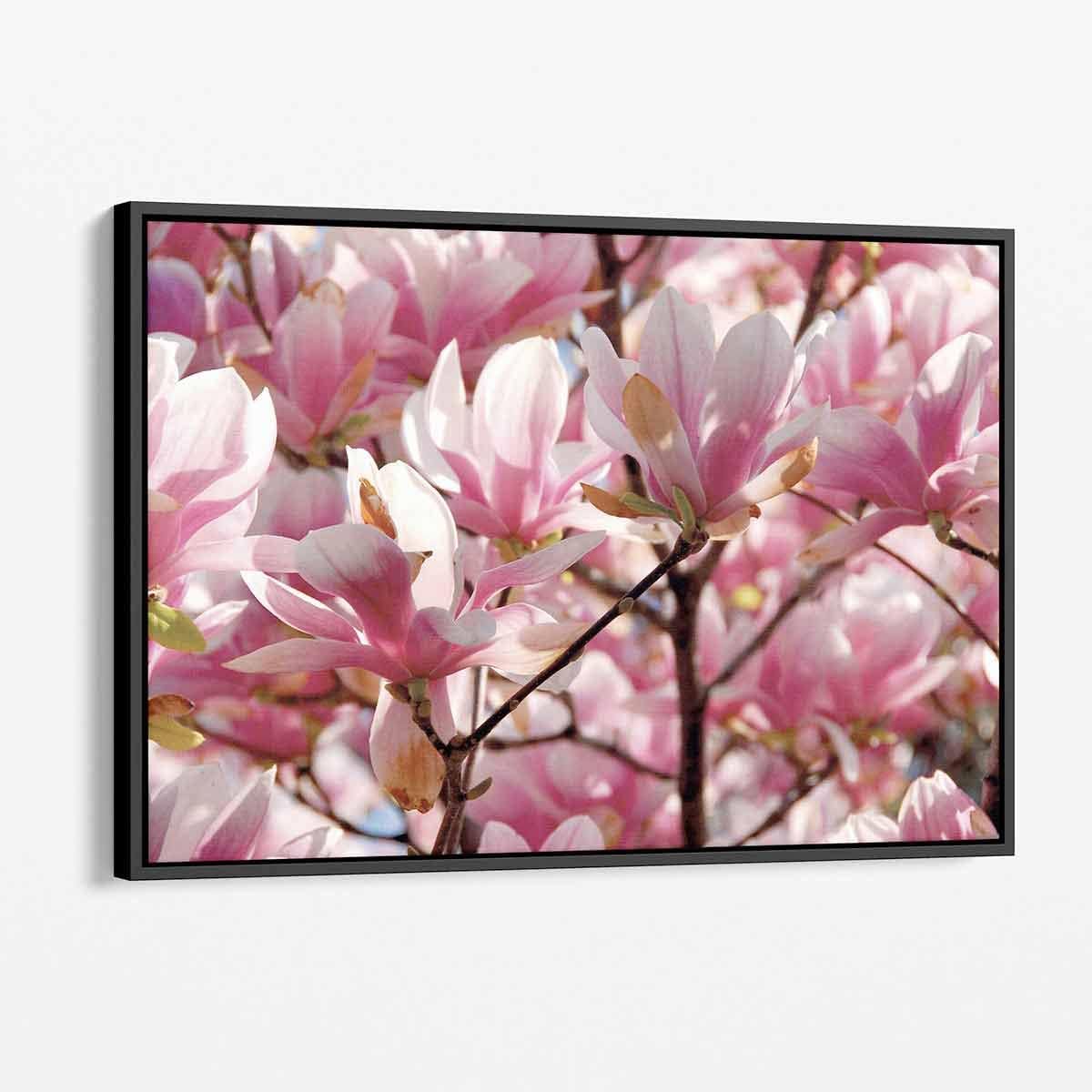 Magnolia Flower Nature Wall Art Black Framed 7940