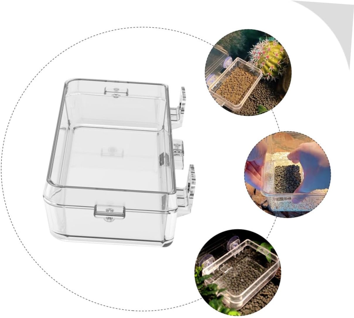Reptile Water Bowl Reptile Feeding Bowl,Pet Feeder Suction Cup Gecko Feeder Lizard Feeder Escape Reptile Bowl Reptile Water Dish Reptile Feeding Container Reptile