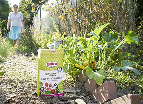 Gemüsedünger Substral Performance Organics für Obst und Gemüse