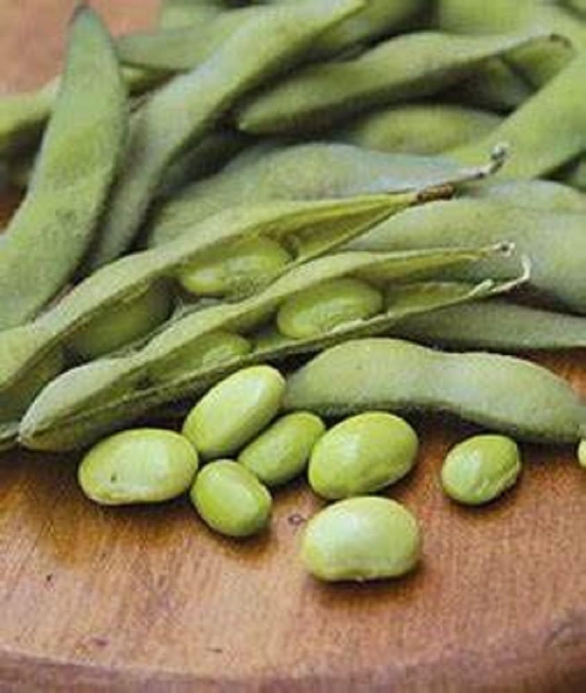 Be Sweet Edamame Soy Bean Seeds -75 Seeds Sweet, Tender, High Yield - High Protein, Non-GMO - Grow Your Own Superfood and savor the delicious flavors