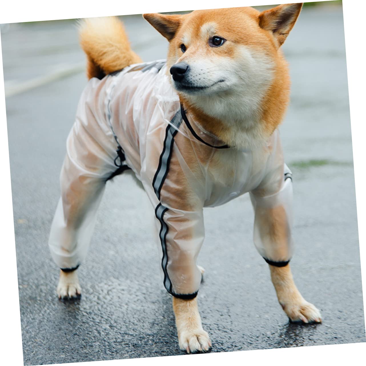 BESPORTBLE 3stücke Hunderegenmantel Und Reflektierend Transparentes Design Schützt Vor Nässe Und Kälte Für Kleine Bis Mittelgroße Hunde Langlebiges Material Bequem Für Aktive Tiere
