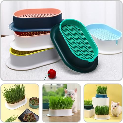 Miniatura 7 de Cabilock Kit de cultivo de hierba para gatos, kit de jardín de ventana, caja de hierba hidropónica para gatos, bandeja para brotes de hierba de