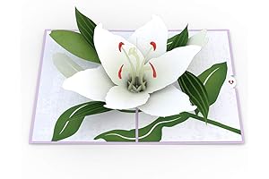 Lovepop Sympathy Lily Pop Up 3D Sympathy Card