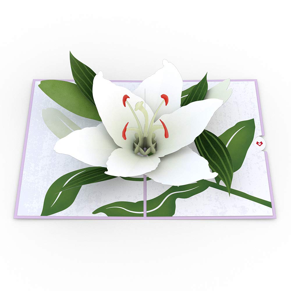 Lovepop Sympathy Pop-Up Card for Her and Him - 3D Greeting Cards for Boys, Girls, Men, Women - 5" x 7" Lily Card - Blank Note Card & Envelope Included