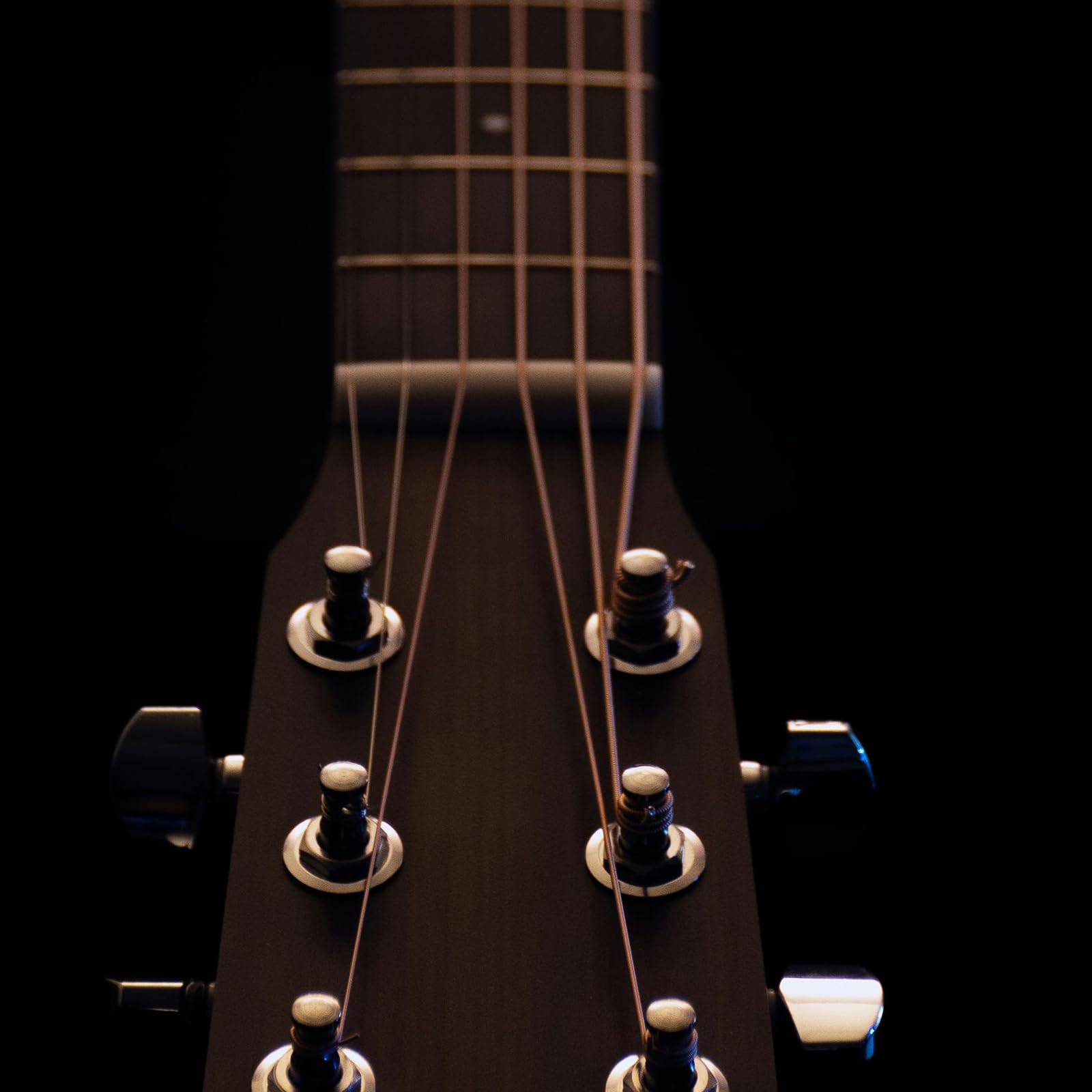 BOXOB 6pcs Acoustic Guitar Bridge Pins - Image 4