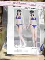 コトブキヤ　あずまんが大王　にゃも　ガレージキット　未組立 Amazon | あずまんが大王 1/7 にゃも 水着版 ガレージキット